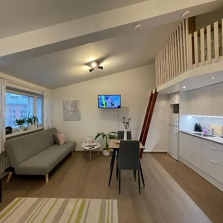 Vesilahti Rooflevel Appartement Lahti